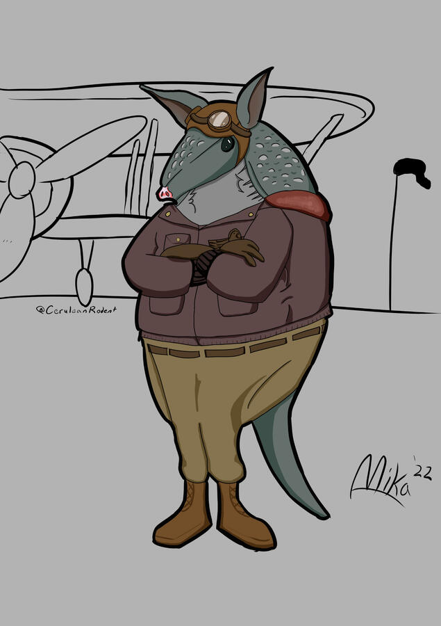 An armadillo standing arms crossed wearing a World War 1 pilot&#39;s jacket, helmet and goggles, with a bomber plane in the background